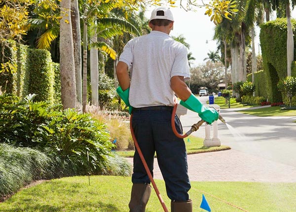 About China Grove NC Pest Control